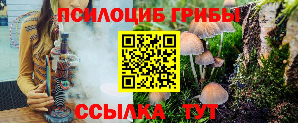 Кемерово  Псилоцибиновые грибы мухоморы  Вход с VPN 